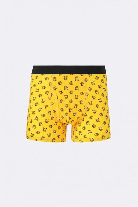 pokemn pixel art collection